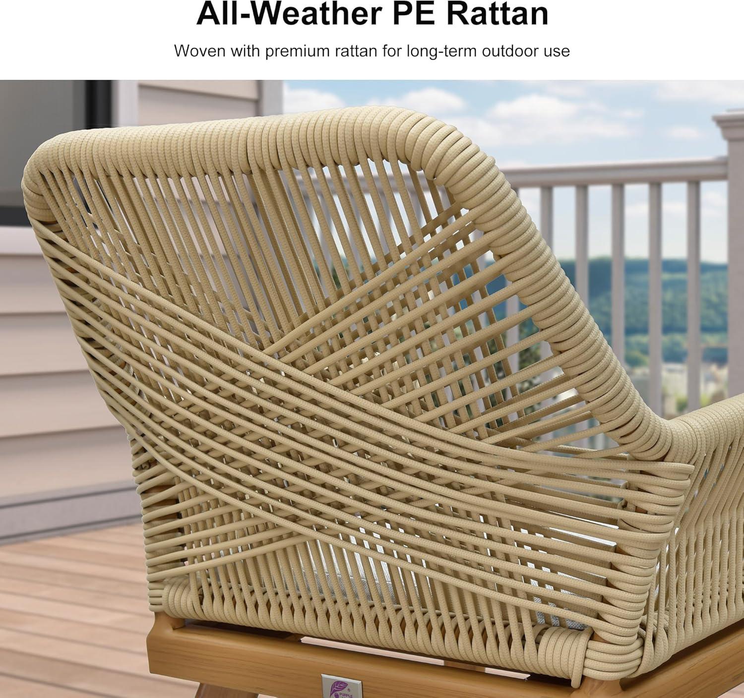 image:imagePURPLE LEAF 11 Pieces Outdoor Dining Set AllWeather PE Rattan Outdoor Patio Furniture Set with All Aluminum Frame Rectangular Table and Chairs Set for Lawn Garden Backyard Deck ChampagneTeak Square Backrest