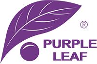 PURPLE LEAF